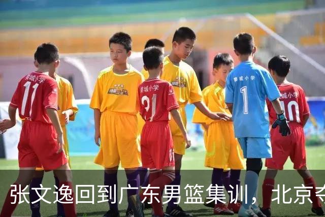 张文逸回到广东男篮集训，北京夺冠功勋确定退役，上海欲续约弗格