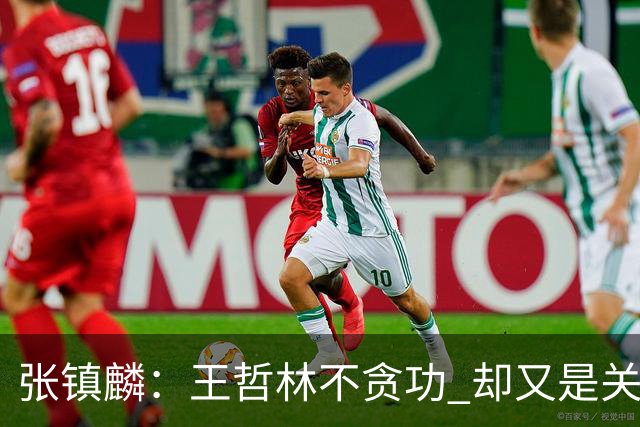 张镇麟：王哲林不贪功 却又是关键时刻能站出来的人 队长当之无愧